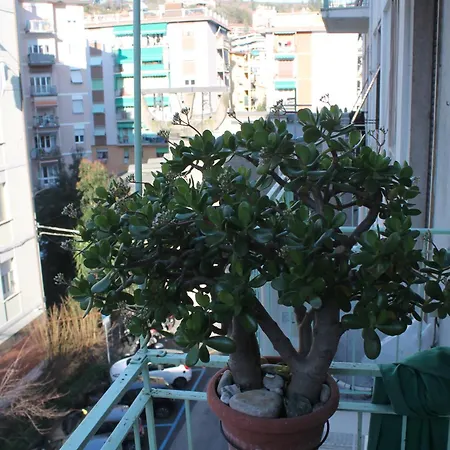 Relax Daire La Spezia